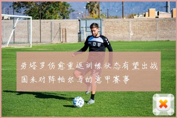 劳塔罗伤愈重返训练状态有望出战国米对阵帕尔马的意甲赛事