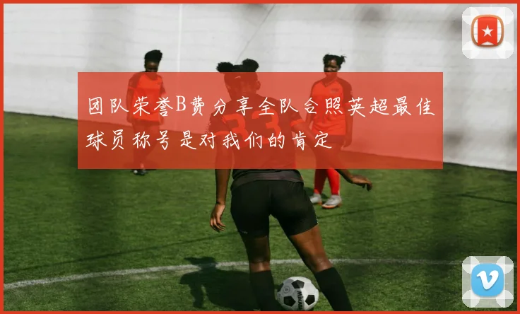 团队荣誉B费分享全队合照英超最佳球员称号是对我们的肯定